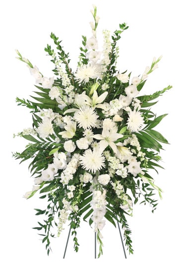 Pure Solace Easel - This elegant sympathy arrangement showcased on a 54&quot; easel, features a large wet floral foam cage designed to keep the flowers fresh and vibrant. A selection of lush foliage, including rich emerald leaves and delicate myrtle, provides a serene backdrop for the stunning white blooms. The arrangement highlights six striking white gladiolus, which stands tall and graceful, alongside six stems of pristine white larkspur for added height and texture. Complementing these are five stunning white spider mums and nine soft white carnations, offering a gentle softness to the display. Completing the tribute are three elegant white Asiatic lilies, their classic beauty radiating peace and solace, making this arrangement a beautiful expression of sympathy and remembrance.