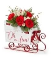 Oh What Fun - Sled into the holiday season with this lush arrangement of red roses, carnations and fragrant greens. This keepsake sleigh is perfect for a centerpiece, party décor, hostess gifts, or to send holiday wishes to those far away! Details The Deluxe Bouquet is approximately 11&quot;H x 15&quot;W. Designed by florists, ready to display. For long–lasting blooms, add water daily. Pet Safety Precautions: This bouquet or plant may include flowers and foliage that are known to be toxic to pets. To keep them safe, be sure to keep this arrangement out of your pet's reach.