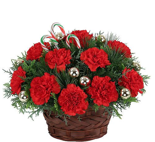 'Tis the Season -  The holiday season is the best time of year to be jolly! Send your best wishes or seasons greetings with this festive and original Canada Flowers design arranged in a dark brown basket evoking the holiday cheer with the red and greens of the jolly holiday season!