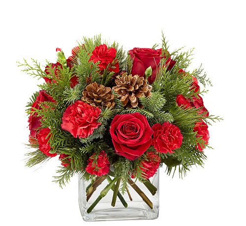 Holiday Cabin - Capture the cozy essence of the season with &quot;Holiday Cabin.&quot; This rustic holiday arrangement features vibrant red carnations nestled among lush evergreen branches, creating the perfect blend of festive charm and natural beauty. Accented by rustic pinecones, this arrangement evokes the peacefulness of a winter forest. Displayed in a clear glass vase, Holiday Cabin brings the warmth of the outdoors into your home, making it the perfect choice for a holiday centrepiece or a thoughtful seasonal gift. Embrace the rustic elegance and timeless beauty of winter with this delightful arrangement!