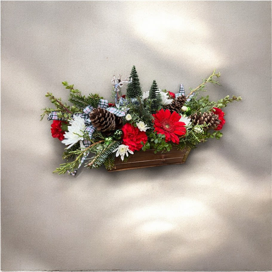 Winter Wonderland CR83 - Bursting with holiday cheer, this quaint holiday arrangement will arrive with a keepsake Reindeer and 2 glistening trees.  This arrangement is created in a rustic wooden box with red gerbs and fresh carnations to enjoy all season long.