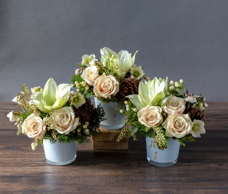 Evergreen &amp; Ivory Trio - A holiday trio as elegant as it is versatile. This sophisticated set of blooms features white amaryllis, satiny roses, and ivory pieris for an unexpected touch of texture. Finished with hypericum berries, bells of helleborus, pine cones, and evergreens in matching glass vessels. Perfect for holiday entertaining—first to decorate your table and then to give as parting gifts to guests. 