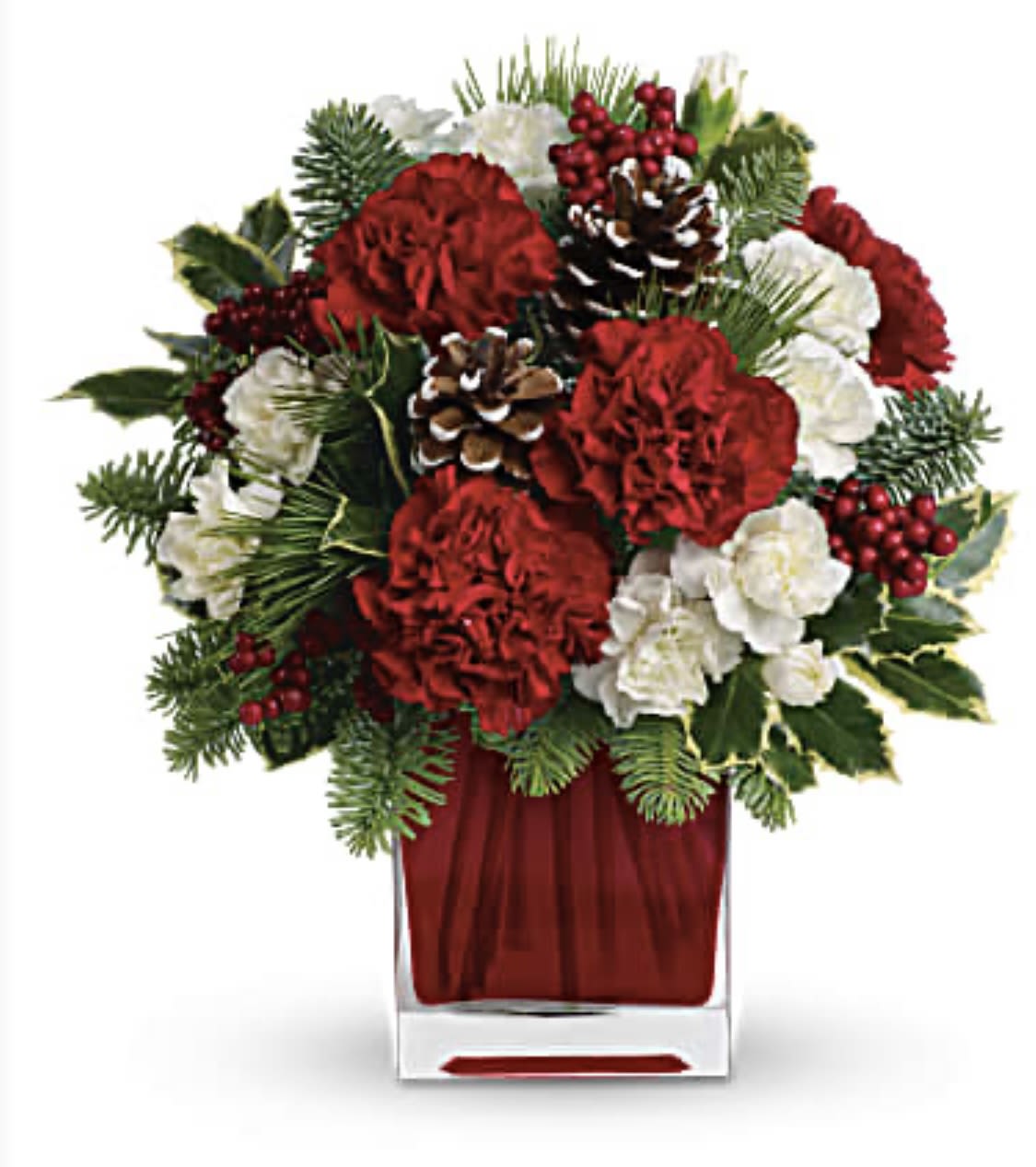 Make Merry 25 - Make them merry with this sweet bouquet! Red carnations and white carnations are beautifully presented in our bright red glass cube. Red carnations and white miniature carnations are accented with tips of noble fir, white pine, holly and assorted greens. Delivered in red container.