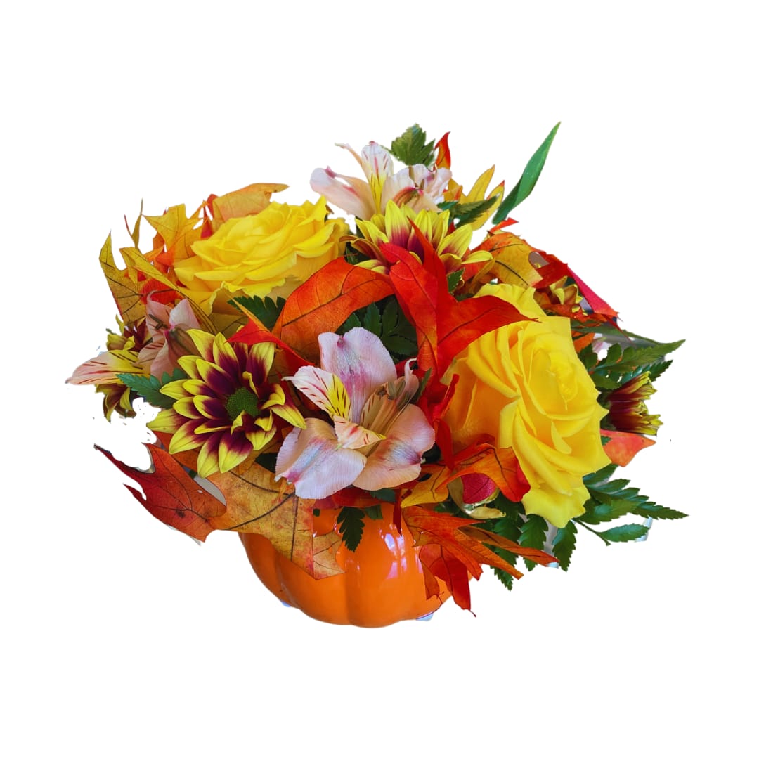 Petite Pumpkin - Elevate your fall décor with our Petite Pumpkin arrangement, nestled in a ceramic pumpkin vase. Embrace the season with roses, daisies, and alstroemeria, complemented by rustic dried oak leaves. Add a touch of autumn's beauty to your space today.