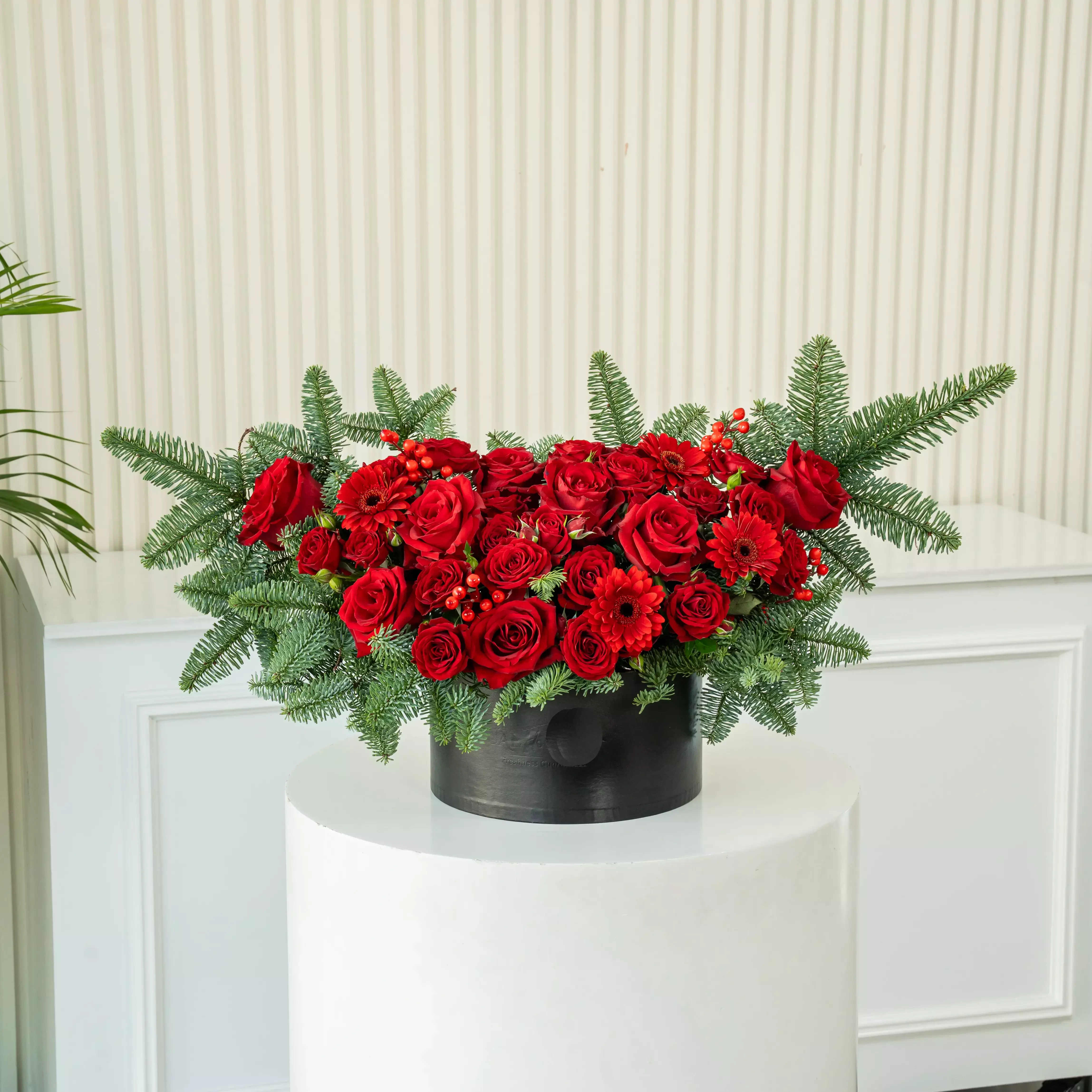 Festive Garden Box - A striking celebration of festive red and winter greens, Festive Garden Box is designed to make an instant statement this Christmas. Featuring lush red roses and seasonal florals nestled into fresh pine foliage, this luxurious arrangement is presented in a sleek black signature box for a bold, modern finish. Perfect for home décor, holiday gifting, and corporate celebrations.