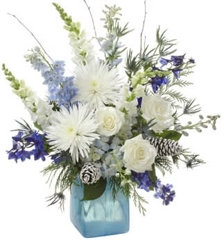 Winter frost Arrangement - Spectacular&quot; only begins to describe this delightful Winter frost Arrangement With enticing white roses, dreamy white daisies, Blue Delphinium White Spider and more, Snowy Spectacular is brimming with charm. Splendid and alluring, this radiant arrangement is the perfect way to welcome the winter season! 