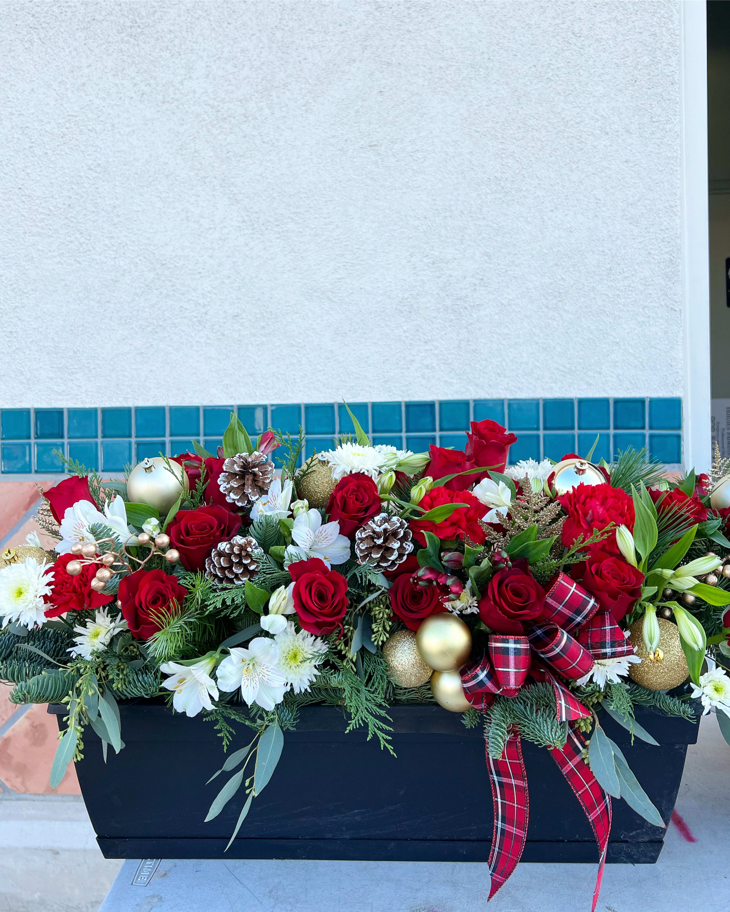 window flower box - Long and low Christmas flowers arrange inside a planter, perfect to display by the window. 