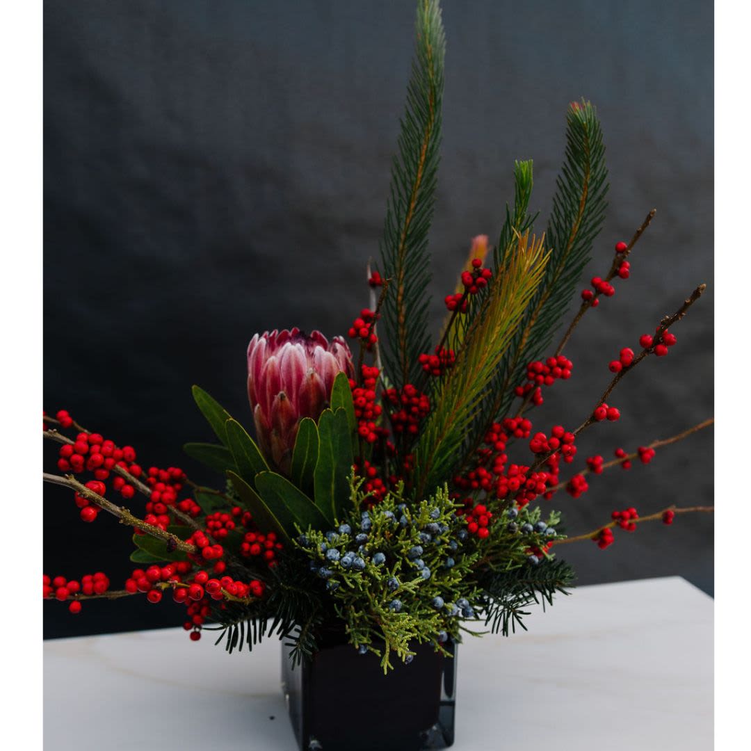 Rustic Winter Charm - This captivating arrangement features a single, bold protea as the focal point, surrounded by vibrant red winter berries and lush evergreen sprigs. Accents of blue juniper berries and textured greenery add depth and contrast, creating a unique and modern holiday centerpiece. Presented in a sleek red container, this arrangement exudes rustic elegance and a touch of wintery sophistication.