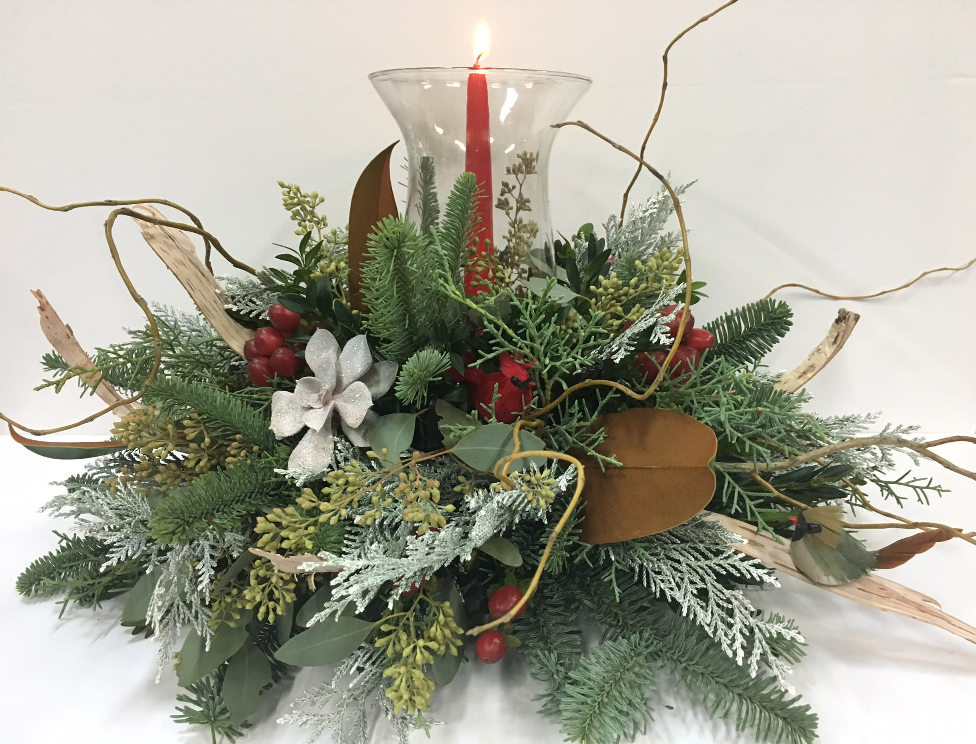 Holiday Glow - Let your holiday glow with this traditional centerpiece of holiday greens, succulents, willow accented with birch &amp; cardinals