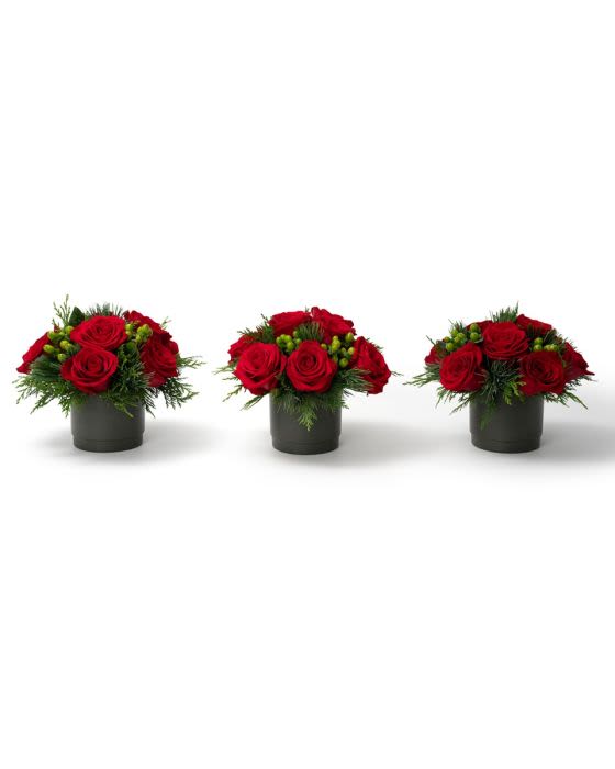 scarlet trio - A striking celebration of the season, our Crimson &amp; Pine Collection featuring our Twilight Crimson Centerpiece, Crimson and Orchid, Scarlet Trio, Winter Rose and Enchanted Evergreen.