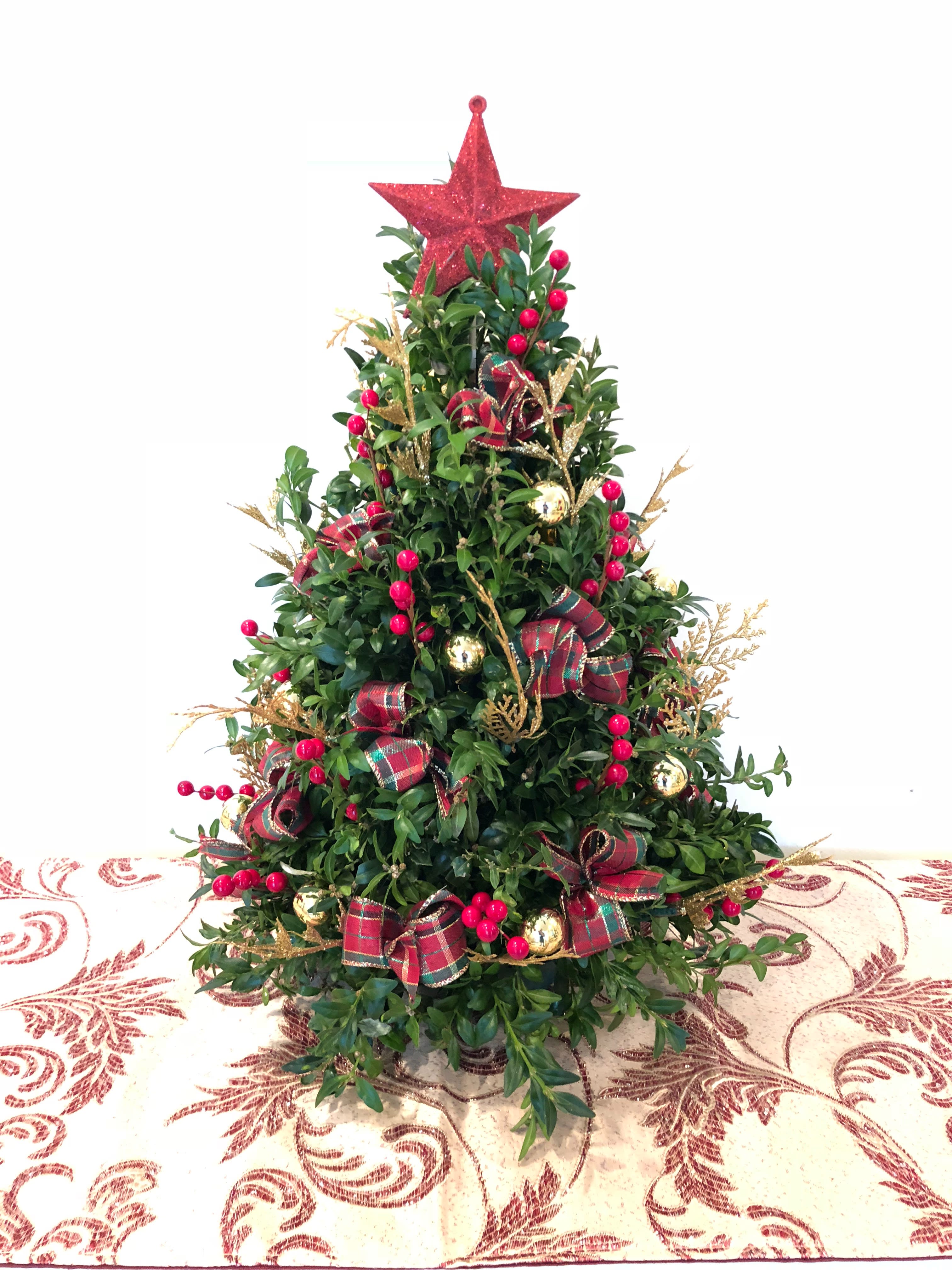 BOXWOOD TREE - Bright someone's day with this festively decorated Boxwood tree. Decorations and bows will vary.