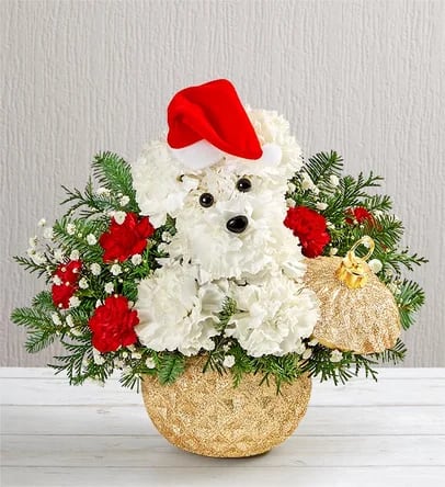 Santa Paws® - EXCLUSIVE Who’s that doggie delivering holiday magic? It’s our very own Santa Paws! Crafted from a merry mix of blooms and ornaments, he’s decked out in a festive Santa hat to unleash Christmas cheer on family and friends, perched in our Glittering Gold Holiday Ornament™ container. With its diamond-embossed design, lavish gold glitter and matching lid, it’s a luxurious keepsake they’ll treasure for years to come.