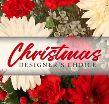 Designers Choice Christmas - A mix of the freshest blooms available. Designed in the colors of white and red with winter greens. May be accented by pinecones, festive ribbons and mini holiday ornament balls. Would be a vase arrangement or basket arrangement. Flowers will include carnations. daisies/ mums, alstromeria and more