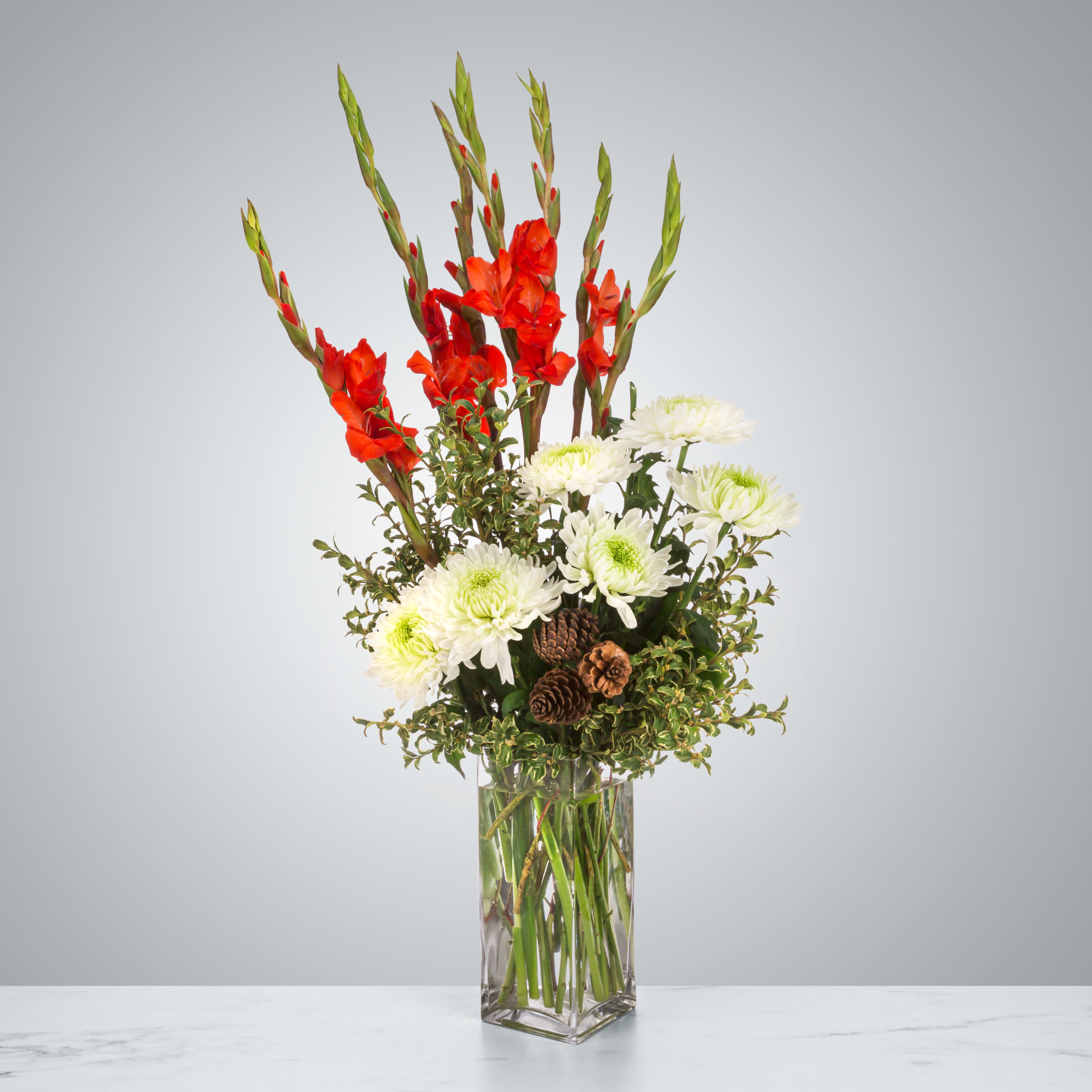 Rabbit in the Snow by BloomNation™ - Send a happy holiday greeting with this tall reaching arrangement featuring red gladiolas and white spider mums accented by pinecones. Tis' the season to send flowers and warm wishes. Send this arrangement during the winter season or as a Christmas present.  Approximate Dimensions: 12&quot;D x 25&quot;H