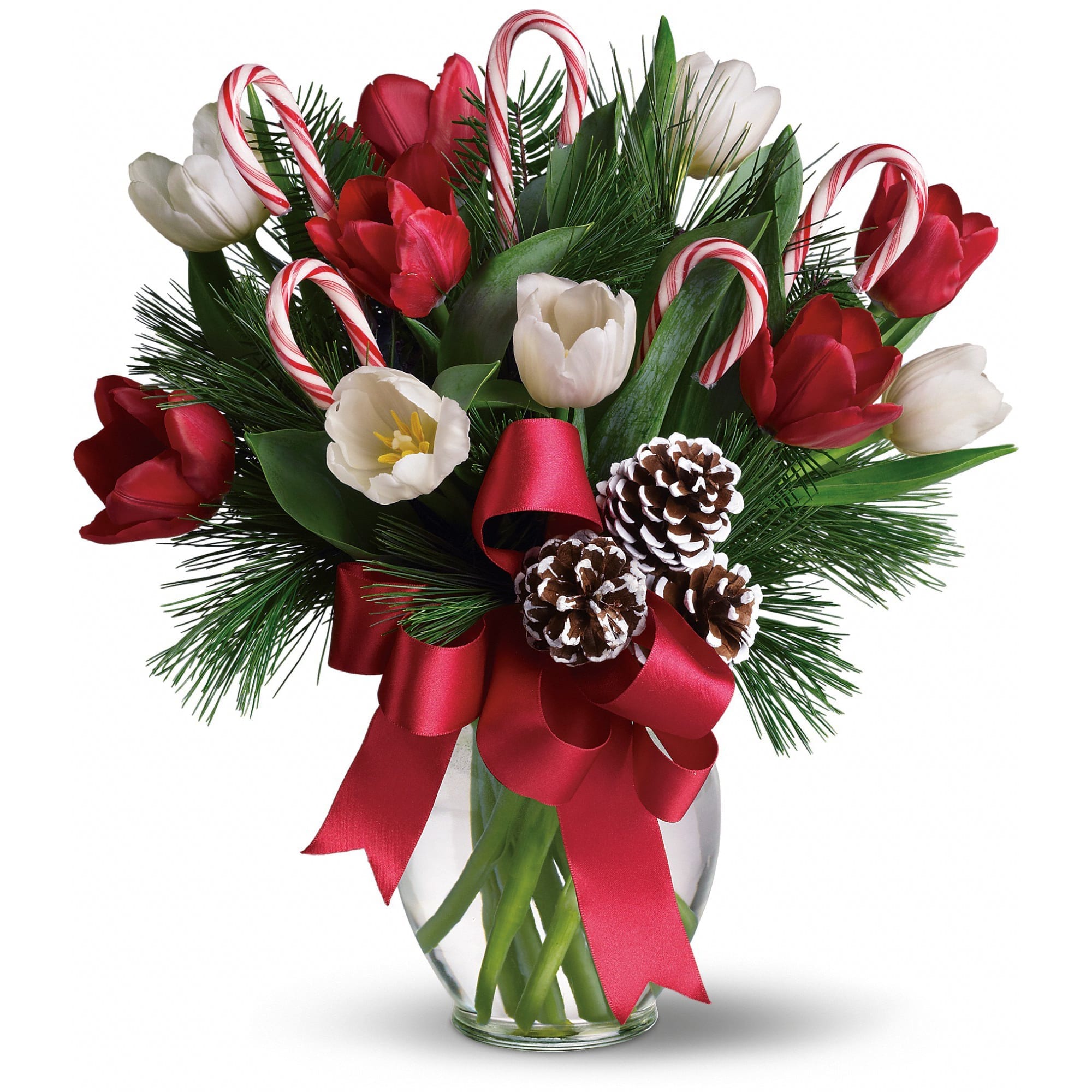 By Golly It's Jolly  ( order 2 days in advance please) - Imagine what would happen if you combined everyone's holiday favorites and arranged them in a beautiful Christmas bouquet. The results would be very sweet indeed, as they are in this fantastic gift!  Bright red and white tulips, real candy canes, pinecones and holiday greens in a pretty ginger vase come all wrapped up in a pretty holiday bow. Eye candy with real candy, what a treat.  Approximately 14&quot; W x 15 1/2&quot; H  Orientation: All-Around  As Shown : T118-2A Deluxe : T118-2B Premium : T118-2C