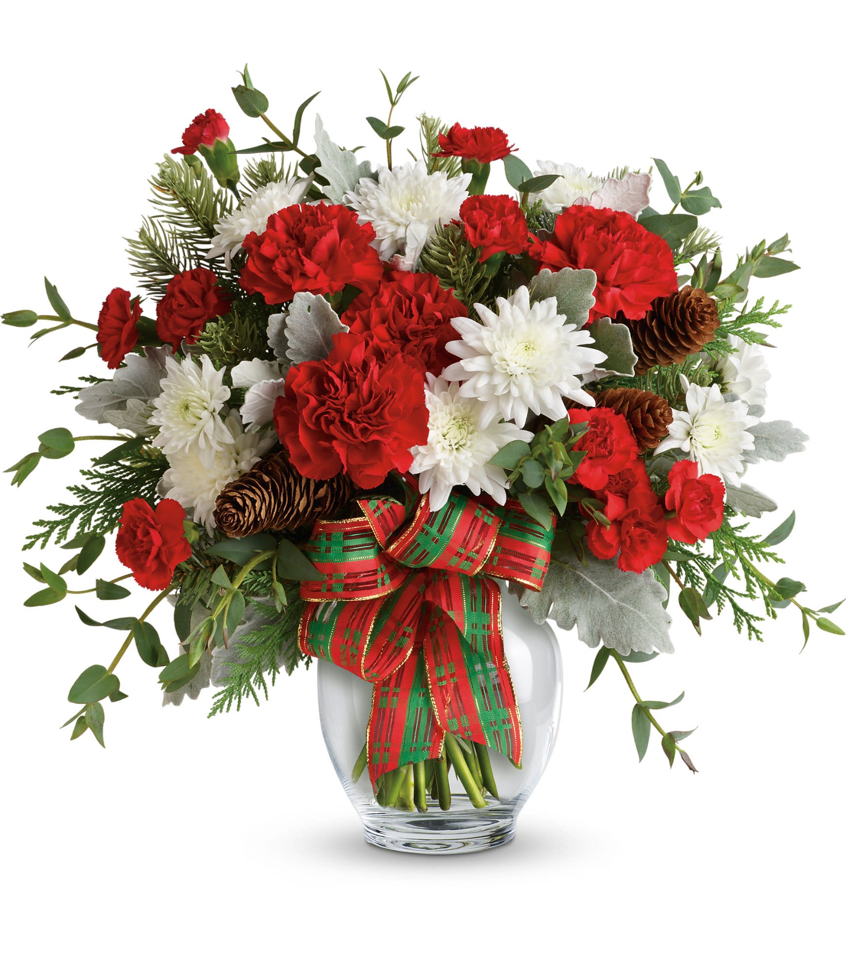 Holiday Shine Bouquet - Make their season bright with this fun bouquet of Christmas blooms, hand-delivered in a glass ginger jar and accented with a shimmering holiday plaid ribbon.  This bold bouquet includes red carnations, red miniature carnations, white cushion spray chrysanthemums, flat cedar, noble fir, dusty miller, parvifolia eucalyptus, small pinecones and wired ribbon. Delivered in a glass ginger jar. Approximately 16&quot; W x 15&quot; H