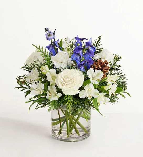 Winter Wishes Bouquet - Inspired by winter’s cool blue and white landscape, our arrangement delivers warm wishes to those you love. The lush gathering of blooms, evergreens, and rustic touches is a thoughtful sentiment filled with the season’s natural beauty; its palette is especially well suited for Hanukkah celebrations. All-around arrangement with blue delphiniums and white roses, carnations, and Peruvian lilies (alstroemerias), accented with baby’s breath, assorted winter greenery, and pinecone picks