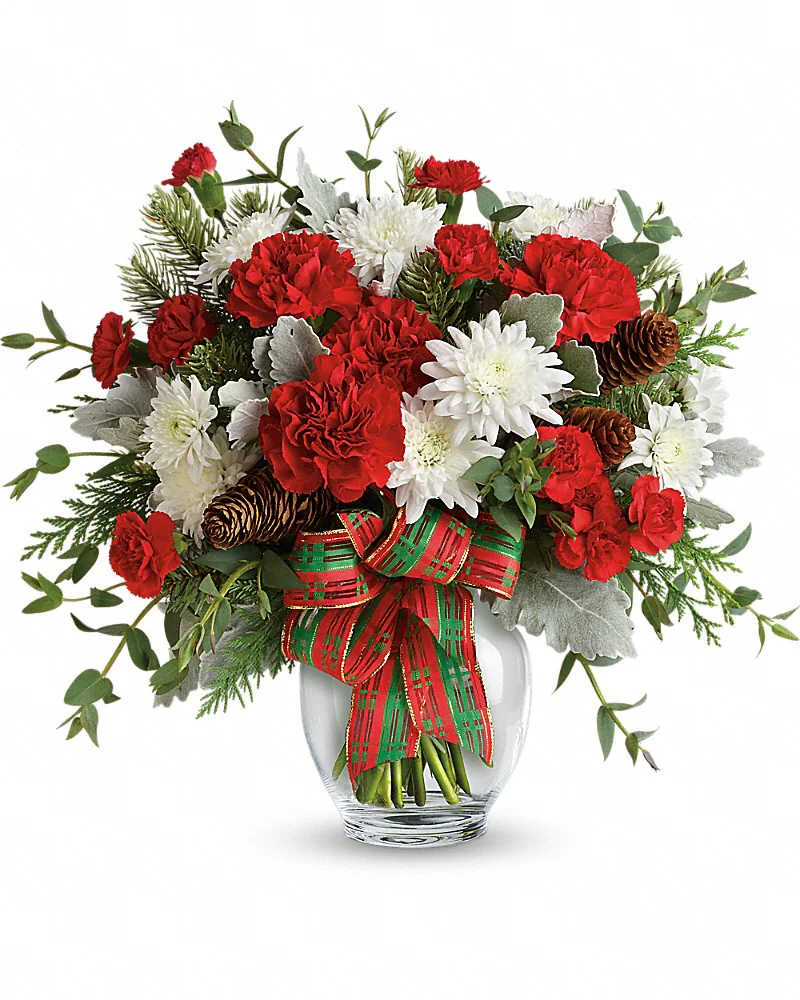 Holiday Shine Bouquet - Make their season bright with this fun bouquet of Christmas blooms, hand-delivered in a glass ginger jar and accented with a shimmering holiday plaid ribbon. This bold bouquet includes red carnations, red miniature carnations, white cushion spray chrysanthemums, flat cedar, noble fir, dusty miller, parvifolia eucalyptus, small pinecones and wired ribbon. ** VASE WILL VARY**