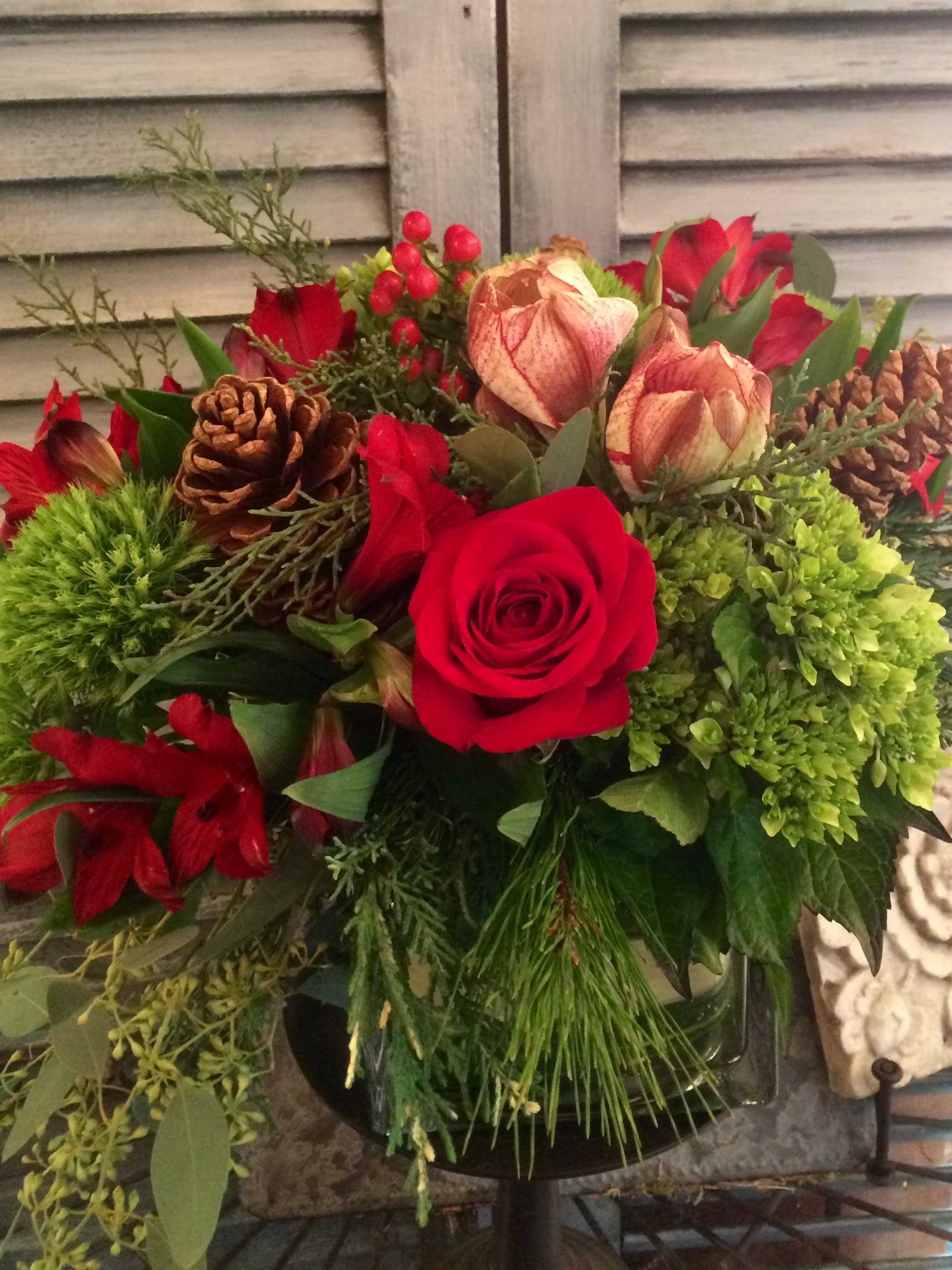 Merry Christmas Mixed 6&quot; Cube - Stunning mix of evergreens, red hypericum berries, green hydrangeas, red roses, and spectacular amaryllis designed in a 6&quot; leaf lined cube. Makes a stunning centerpiece that will look wonderful anywhere.