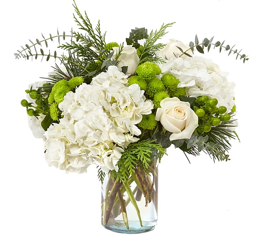 Winter Bliss Bouquet - This monochromatic beauty glistens just like the first snow and adds freshness to any celebration. It comes arranged with roses, hydrangea and accents of greens.