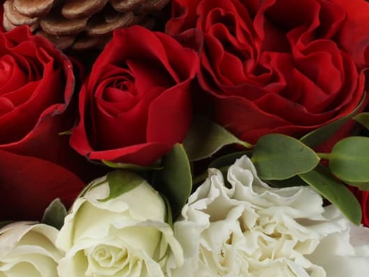 December Special - Seasonal Arrangement - Gift Wrapped - Designer's choice of fresh seasonal flowers, gift wrapped. 