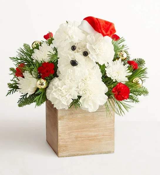 Santa Paws - Who’s that doggie delivering holiday magic? It’s our very own Santa Paws! Crafted from a merry mix of blooms and ornaments, he’s decked out in a festive Santa hat to unleash Christmas cheer on family and friends. 