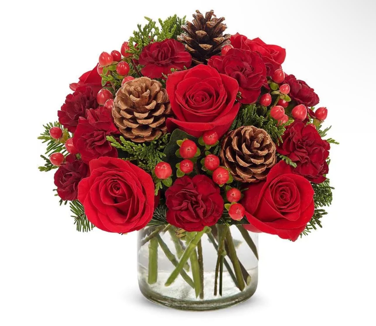 Crimson Christmas - The exceptionally bright colors, the artistic shape, the overall look of incomparable floral magnificence...it's all here and much more in this holiday bouquet that is certain to be treasured by every recipient. Roses, mini carnations, hypericum, pine cones, and holiday foliage are skillfully arranged in a modern glass cylinder vase.  PLEASE NOTE: Florist reserves the right to make modifications to the design based on seasonality and accessibility of blooms and vases. Any modifications made will honor the palette, intent, and feeling of the pictured design. Contact floral designer directly with any specifications or concerns.