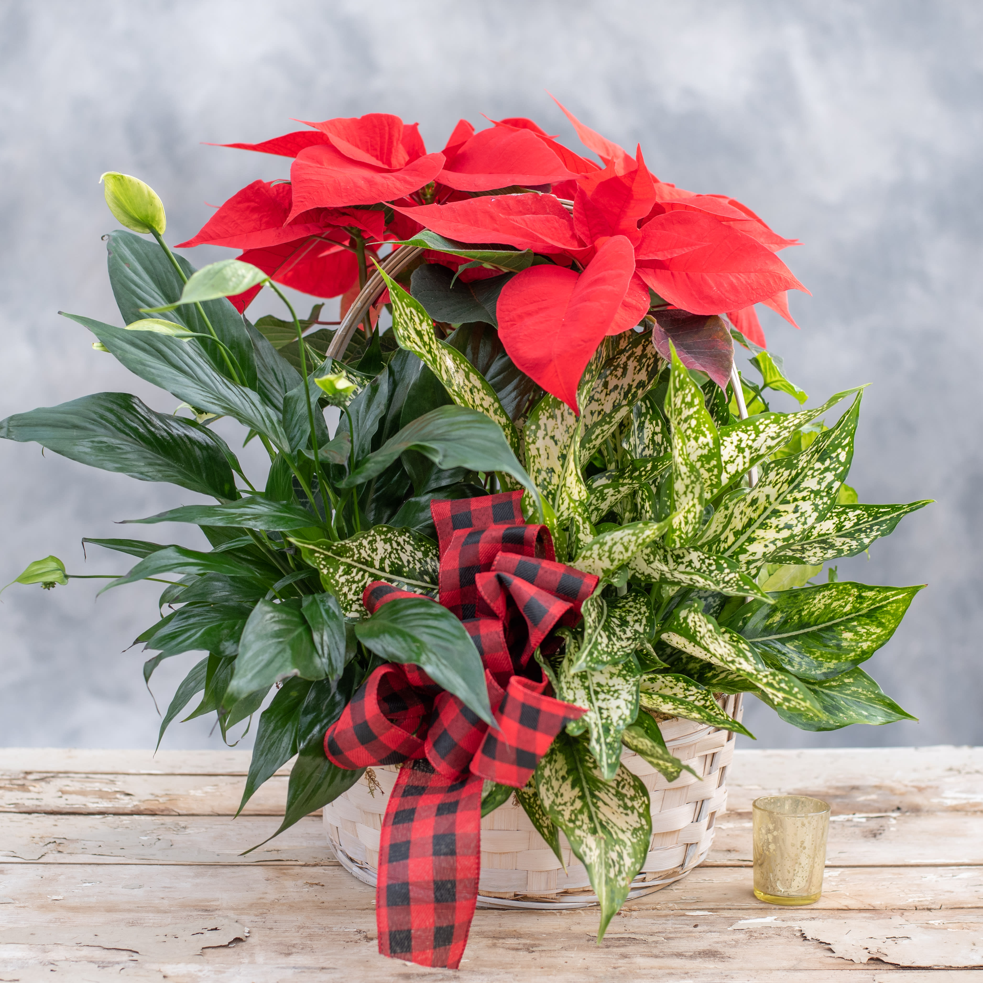 Premium Holiday English Garden - A grande version of an amazing assortment of our locally grown poinsettias, green and seasonal blooming plants arranged in one of our wicker baskets (may not be exactly as pictured due to supply and demand) and finished with a signature ribbon. 