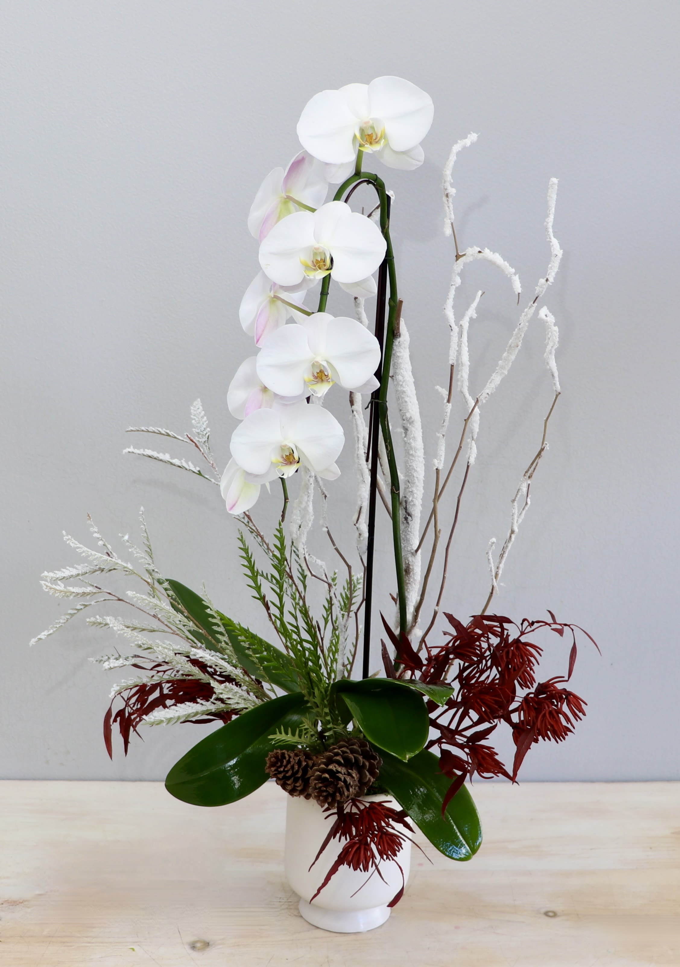 Frosted Orchid - My Glendale Florist  - Single stem orchid decorated with winter greenery, acorns, and frosted branches. 
