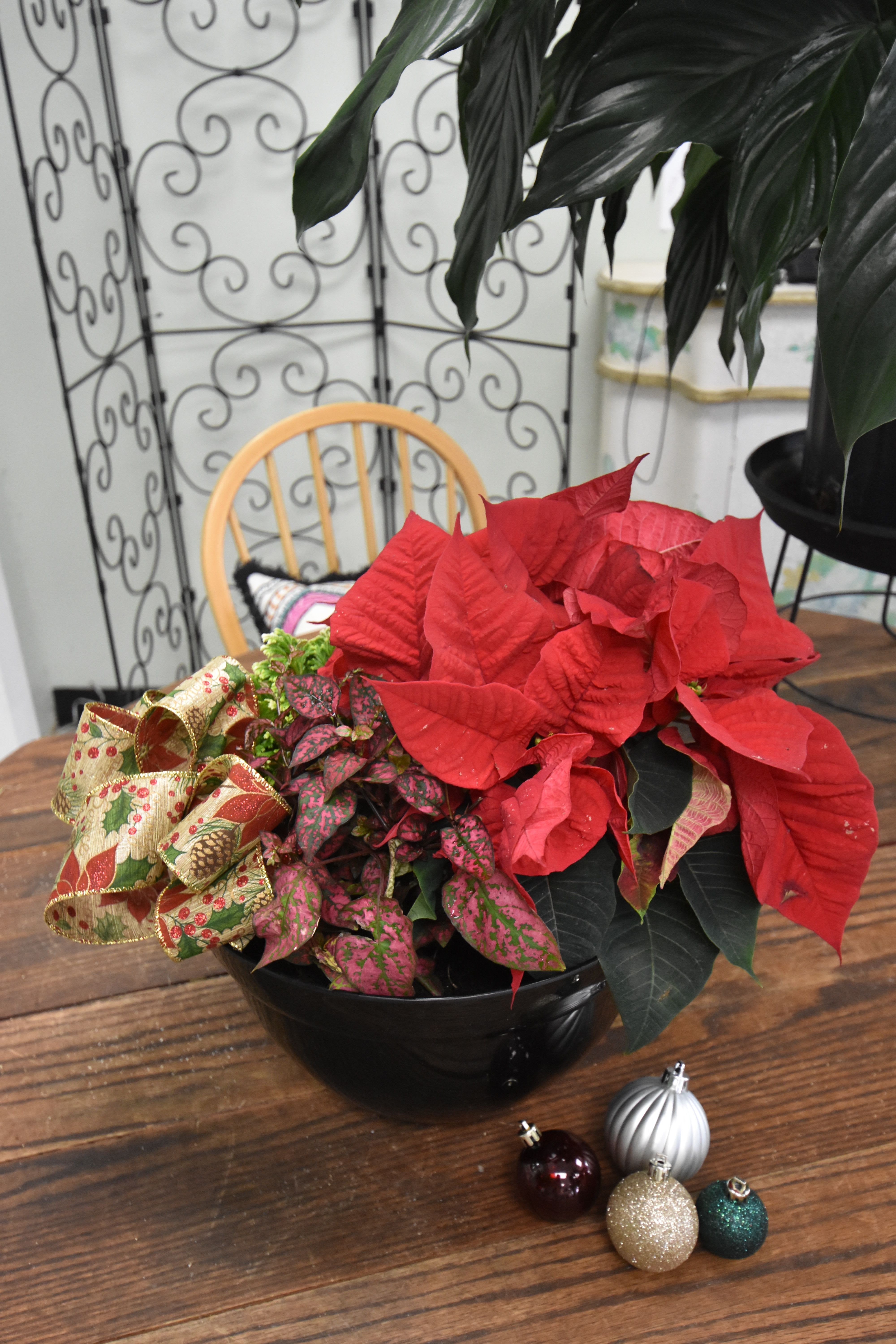 Red Poinsettia Mixed Foliage Dish - Large bowl filled with various holiday greens. Topped with a festive bow.  