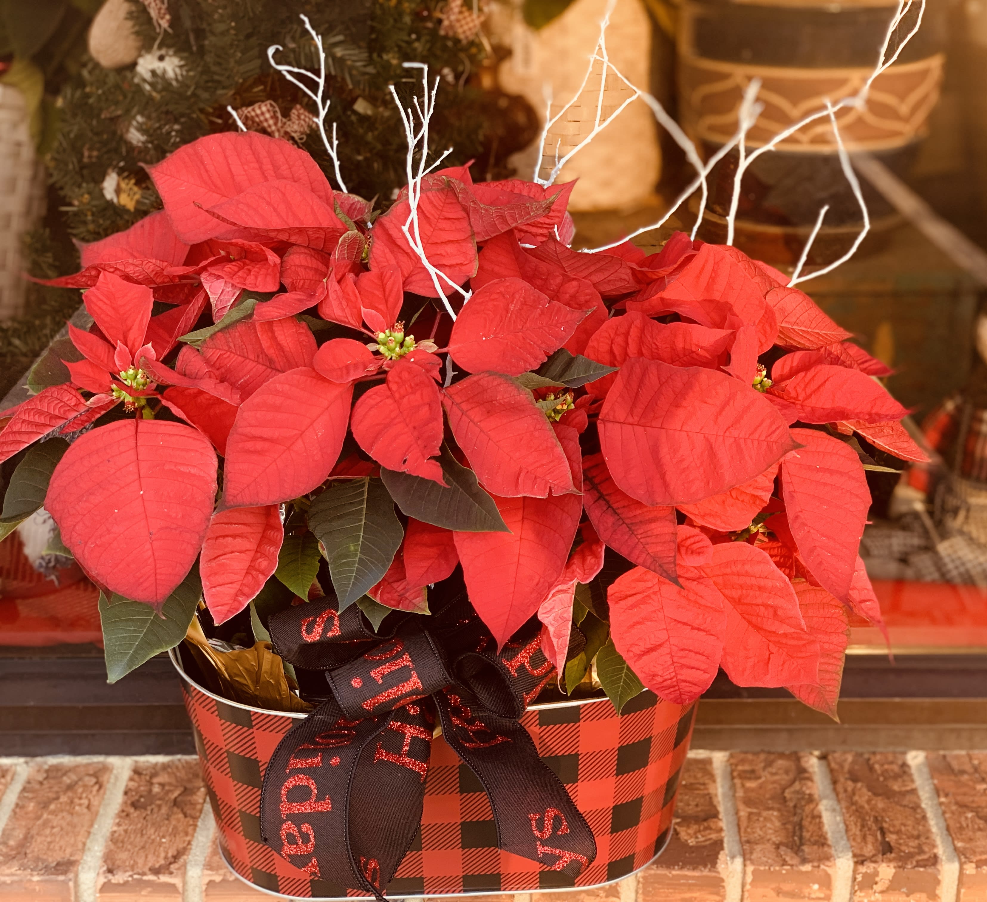 Poinsettias in Plaid - 2 Poinsettias fill this buffalo plaid tin with a bow to accent the arrangement to last the season through - while supplies last