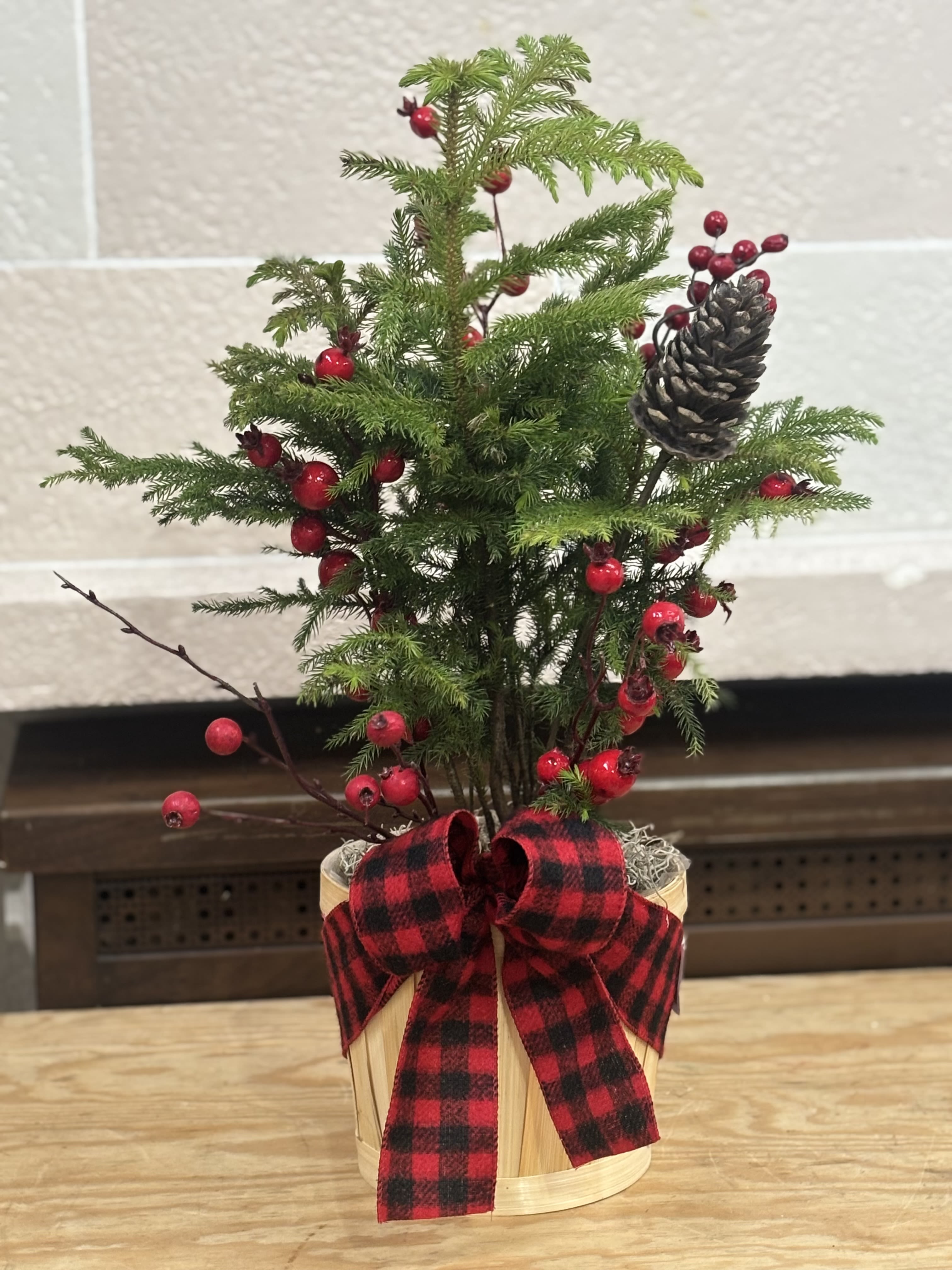 Norfolk Pine With Berries  - A norfolk pine in a basket with artificial berries. 