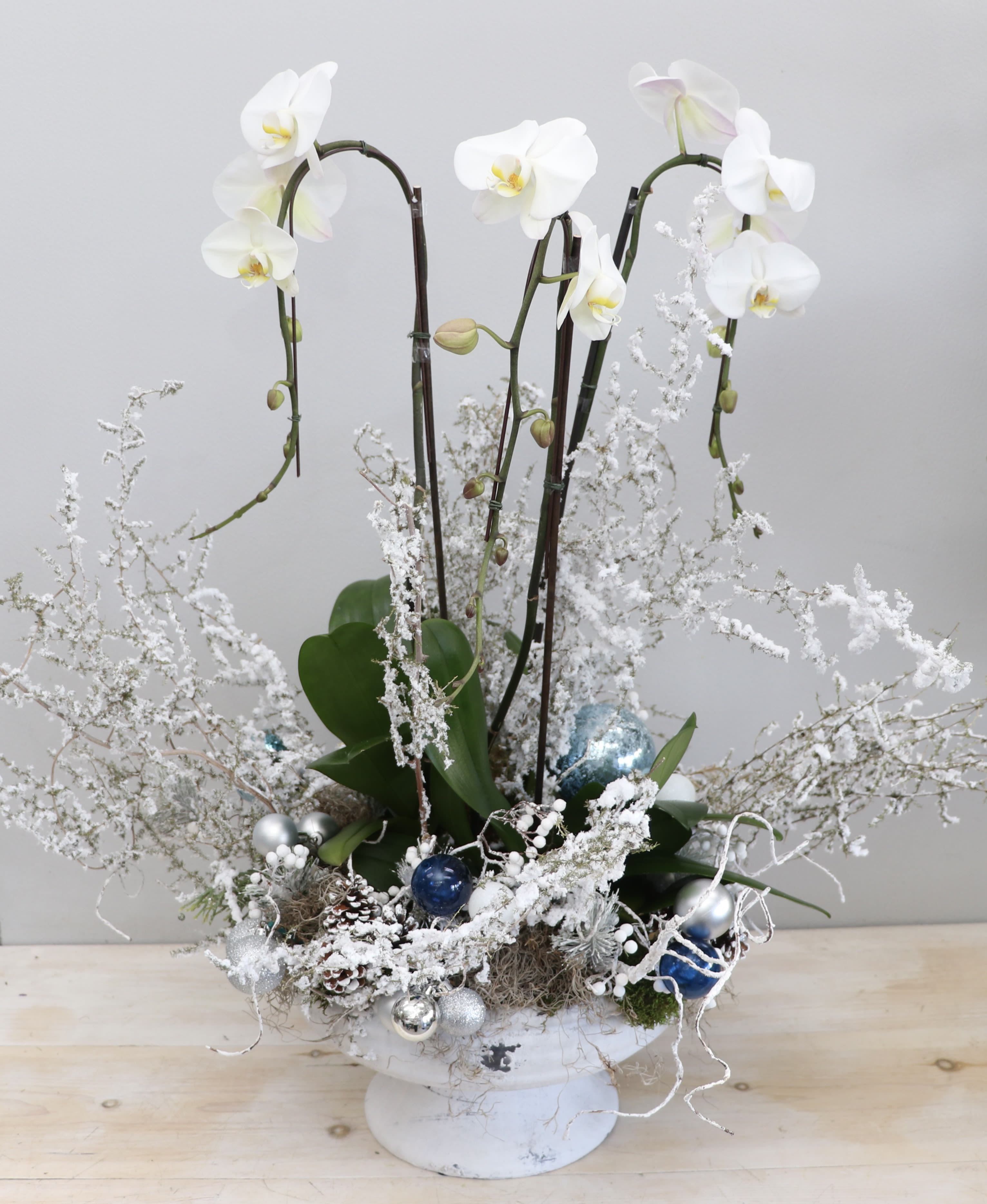 Frosted Orchids - My Glendale Florist - This grand vase holds three large phalaenopsis orchids arranged with frosted branches and ornaments. A gorgeous choice to get you in the holiday spirit!  Please note if you would like different colored ornaments.