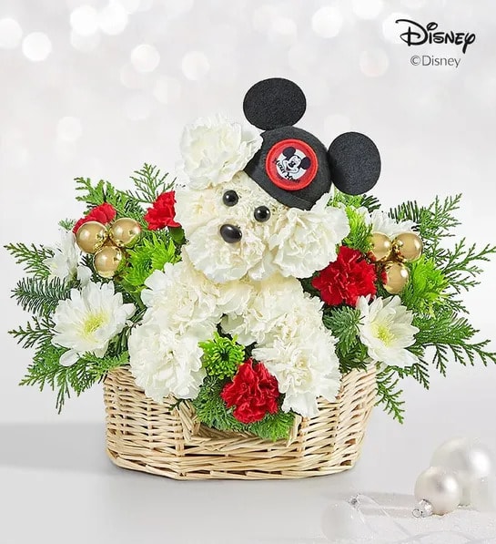 a-Dog-able Disney Mickey Mouse for Holiday - Our signature flower pup is blooming from ear to ear with holiday joy! Part of our new Disney collection, this festive creation is crafted from white carnations and surrounded by merry red, white &amp; green flowers and gold ornaments. Complete with a genuine replication of the original 1950’s Mouseketeer hat, it’s a gift is full of charm and nostalgia, perfect for a season of celebrating.  One-sided 3D a-DOG-able® arrangement with white carnations and cushion poms, red mini carnations, Athos poms; accented with assorted Christmas greenery Crafted in the shape of a dog, complete with eyes, nose and a genuine replication of the original Mouseketeer hat  Artistically designed in a dog bed basket; measures 3.5&quot;H x 9.5&quot;W x 7&quot;D  Arrangement measures approximately 13&quot;H x 14&quot;W  Our florists hand-design each arrangement, so colors and varieties may vary due to local  availability  About Disney Our exclusive collection combines the enchantment of Disney with our passion for sharing meaningful gifts. The excitement and joy of gifting genuine Disney branded products to family and friends celebrates the memories we cherish and all the iconic characters we know and love.