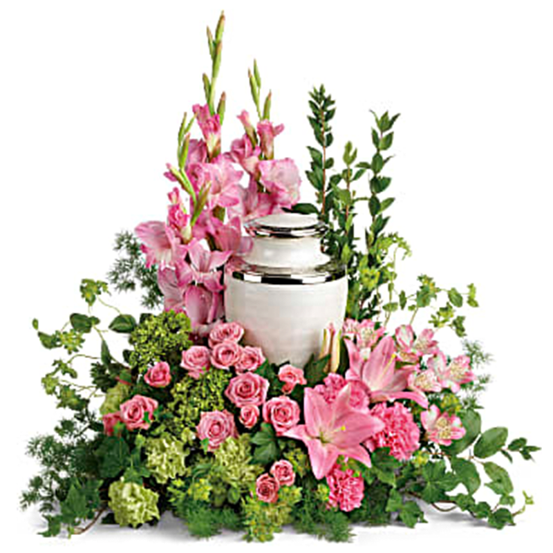 The Sacred Solace Cremation Tribute - Honor the cremation urn with this pristine pink arrangement of hydrangea, roses and lilies, a soft, feminine tribute to an inspiring life. This pretty arrangement includes miniature green hydrangea, pink spray roses, pink asiatic lilies, pink alstroemeria, pink gladioli, pink carnations, green carnations, bupleurum, green ivy, myrtle, ming fern, and lemon leaf. Arrangement does not include urn. Orientation: One-Sided