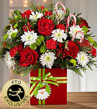 Holiday Cheer Boquet - Wrapped in love and holiday joy, this Christmas flower bouquet is a wonderful way to share in the season with friends and family near and dear to your heart. Rich red roses, red mini carnations, white chrysanthemums, green button poms, variegated holly, and an assortment of holiday greens are artistically arranged to blossom from a stylish red rectangular ceramic vase tied with a festive Santa ribbon to give it the look of a holiday present. Accented with candy canes to add further appeal and fun, this gorgeous flower bouquet is set to make an excellent holiday gift.  Regular bouquet includes 14 stems. Approx. 16&quot;H x 14&quot;W. Deluxe bouquet includes 18 stems. Approx. 17&quot;H x 15&quot;W.