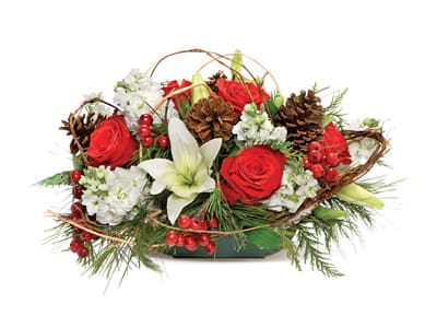 Colors Of The Season Centerpiece - Beautifully arranged Christmas Arrangements Centerpieces using fresh blooms in the signature colors of the season white lilies, red roses and more. This lively display is accented with a fragrant mix of evergreens and pinecones.