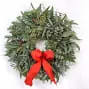 Beautiful fresh holiday wreath  - 24&quot; wreath freshly made with traditional  winter greens with a garnish of fresh eucalyptus and magnolias.   will have a red bow and a few light decorations 