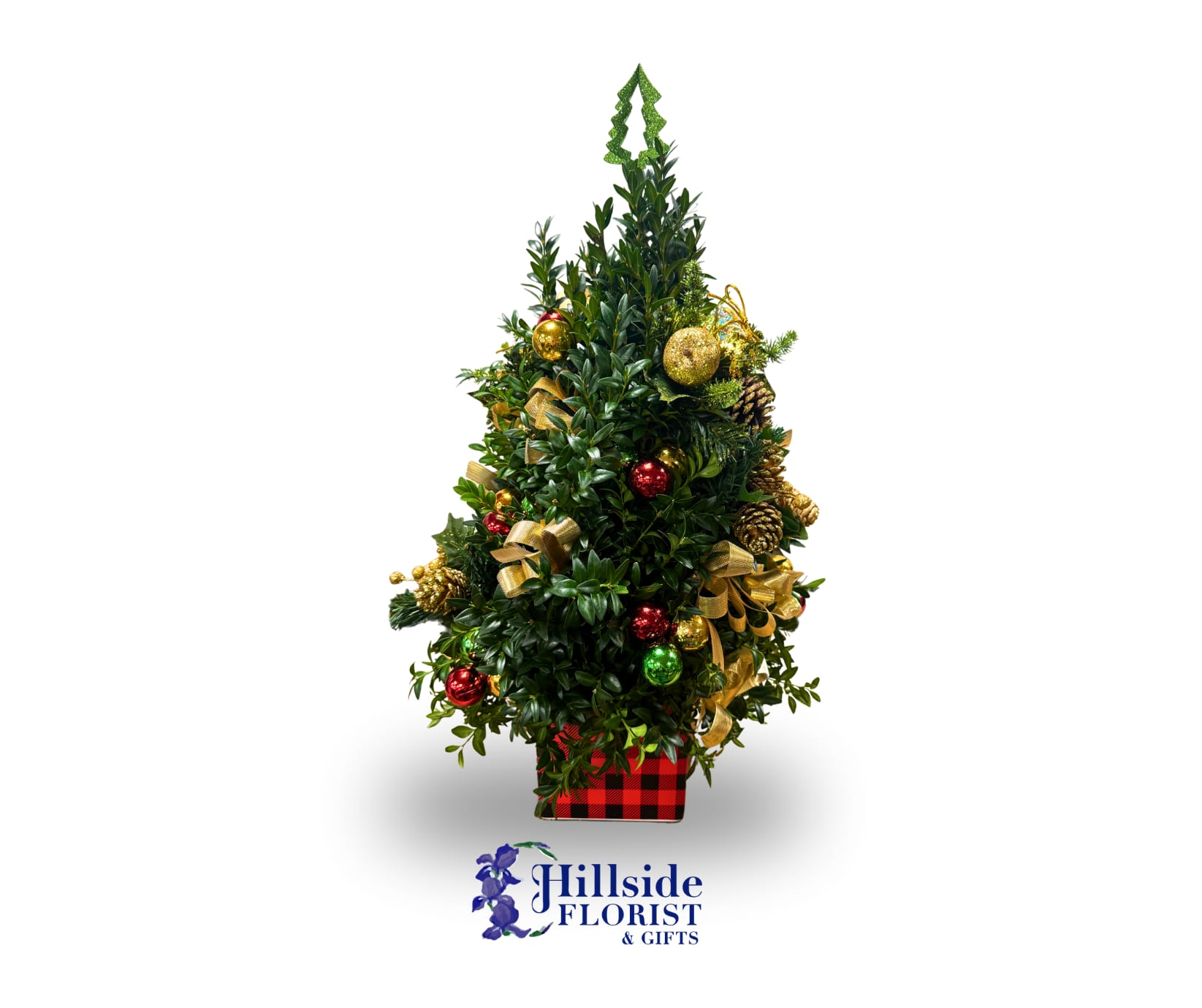 Boxwood Tree - All trees are uniquely decorated. Boxwood greens arranged in a classic tree shape in plastic design container.  Wire out orders are $70 dollars and up second choice is required for wire outs. 