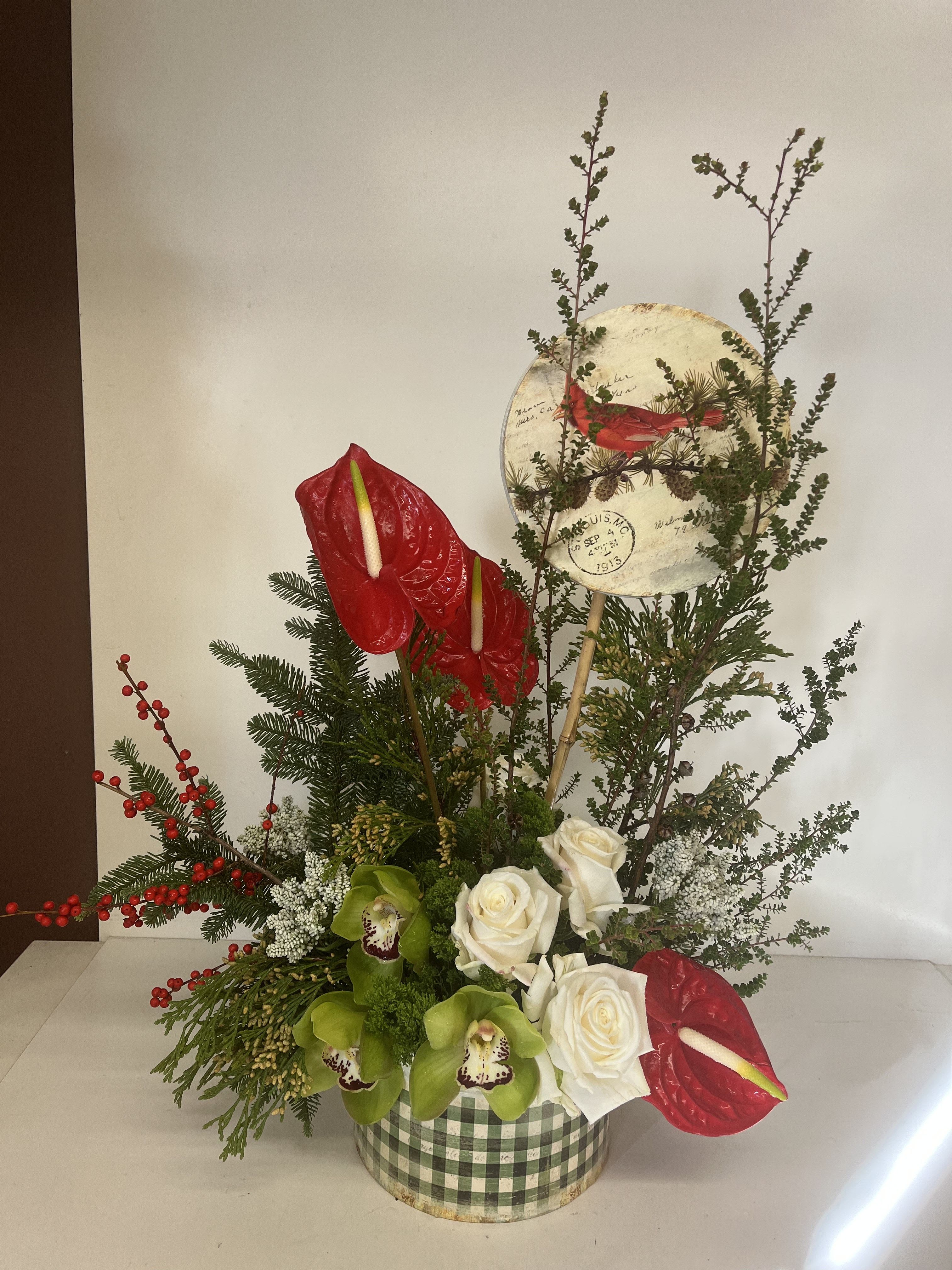 24-66 - CC - Fresh &amp; Beautiful!