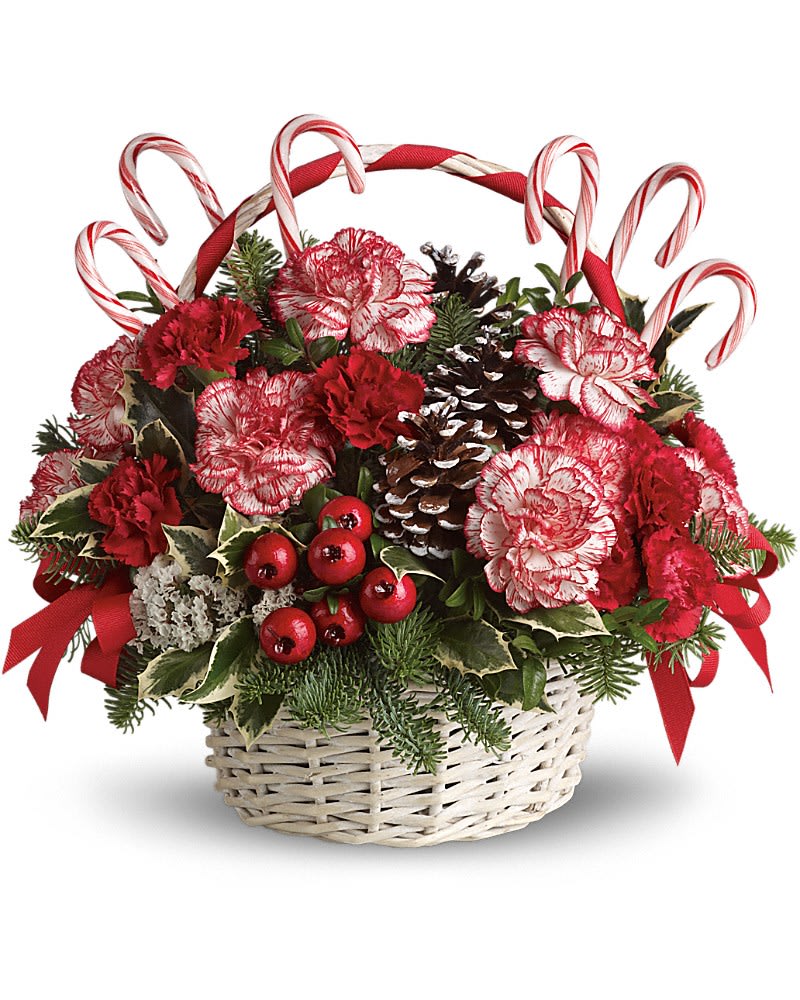Candy Cane Christmas - A-tisket, a-tasket, a candy cane Christmas basket. What fun it will be when this cheery basketful of holiday joy gets delivered! Peppermint and red carnations, pinecones, berries, holly and ribbon are delightfully placed in a white wicker basket. Real candy canes make this an extra sweet gift.Approximately 10" W x 10" H