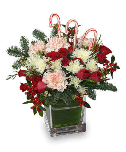 PEPPERMINT PLEASURES CHRISTMAS BOUQUET  - oliage: Seasonal Evergreens, Variegated Aspidistra Leaf, Red Tulips, Red Spray Roses, White &amp; Red Peppermint Carnations, White Snowflake Poms, White Waxflowers, Red Berry Clusters, Candy Canes. 
