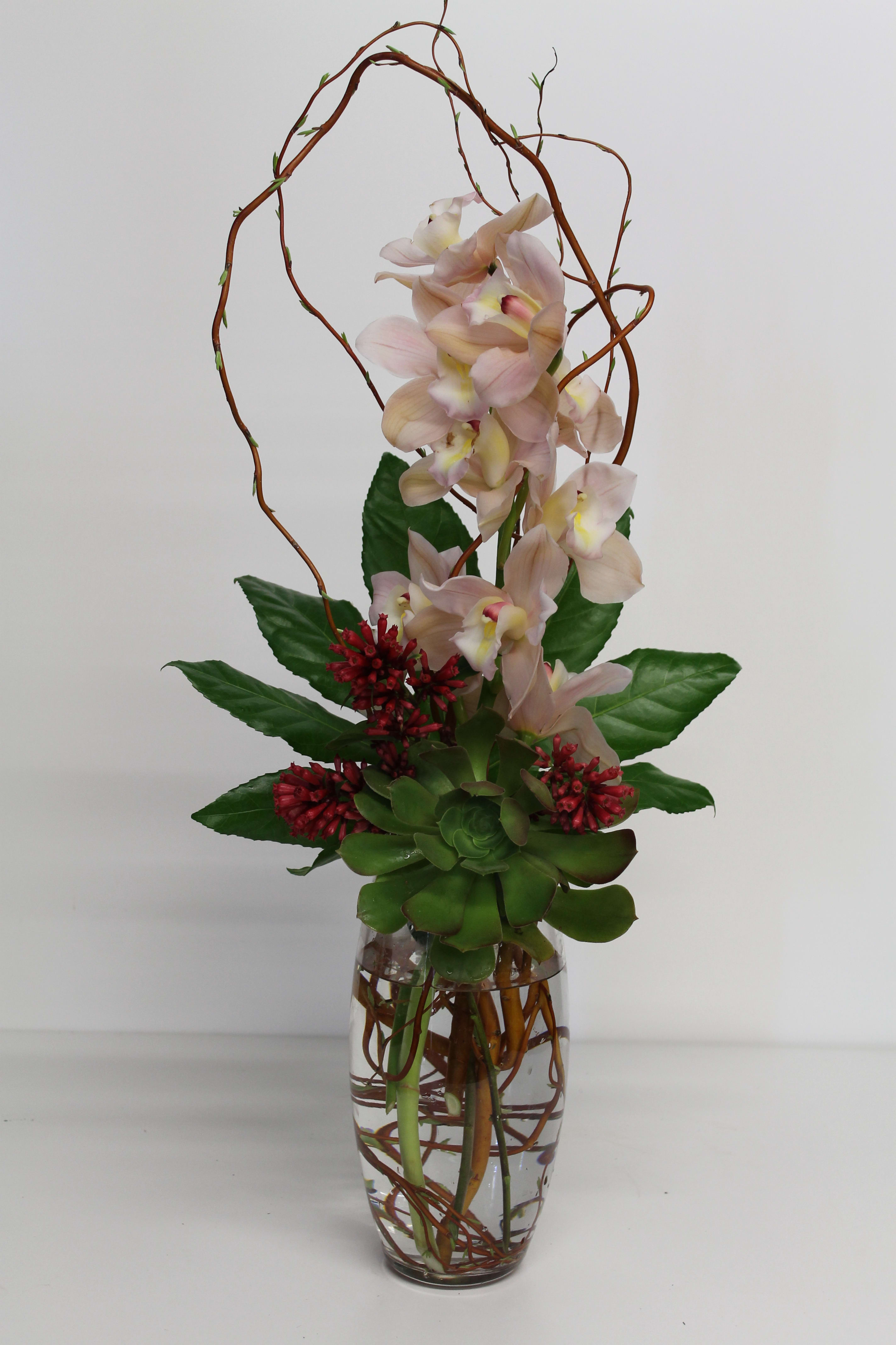 Orchid in motion - Beautiful orchid design 