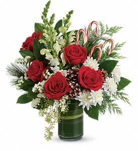 Festive Pines Bouquet Deluxe - Bursting with Christmas spirit, this lush rose bouquet is accented with candy canes and pine cones for a touch of festive fun. Red roses, white snapdragons, and white cushion spray chrysanthemums are wrapped in a variegated aspidistra leaf and accented with seeded eucalyptus, lemon leaf, flat cedar, white pine, candy canes, and small frosted pinecones. Delivered in a clear glass cylinder vase. Approximately 16 1/2&quot; W x 18 1/2&quot; H 