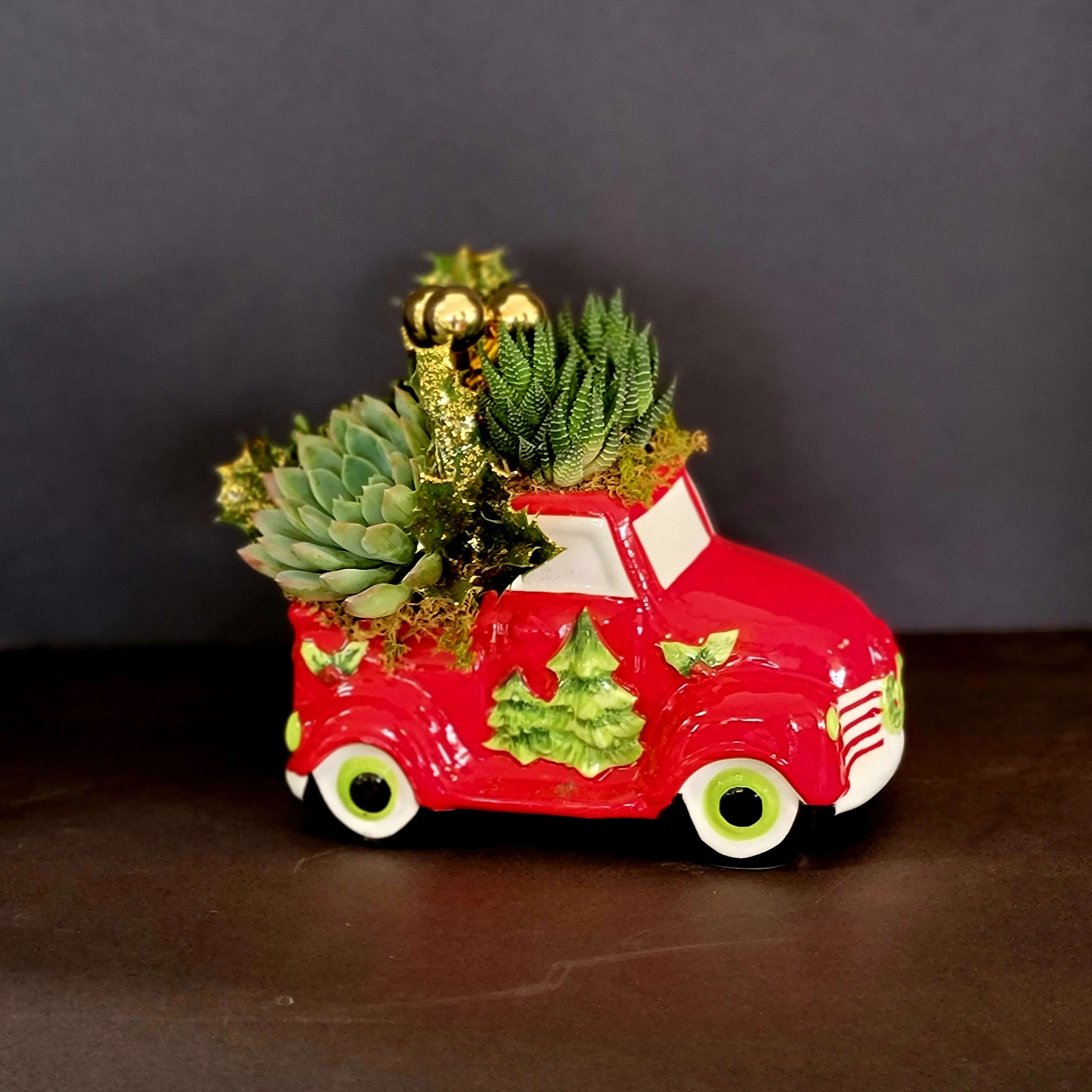 Festive winter succulent truck - Talk about a dream machine! Piled high with cheerful succulents, this hand-painted, hand-glazed Vintage pickup is a winter  dream come true.  This ceramic truck includes succulents that will last a very long time . Delivered in a Chevy Pickup Keepsake. Approximately 13 1/2&quot; W x 11 1/2&quot; H