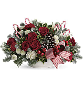 Jolly Candy Cane Bouquet Deluxe - A Christmas classic, this chic white dish bursts with with festive blooms, fresh winter greens, and playful candy canes. This festive bouquet features red roses, red carnations, white carnations, white button spray chrystanthemums, variegated holly, noble fir, and white pine. Delivered in a Round Ringware Dish. Approximately 21 1/2&quot; W x 13&quot; H  