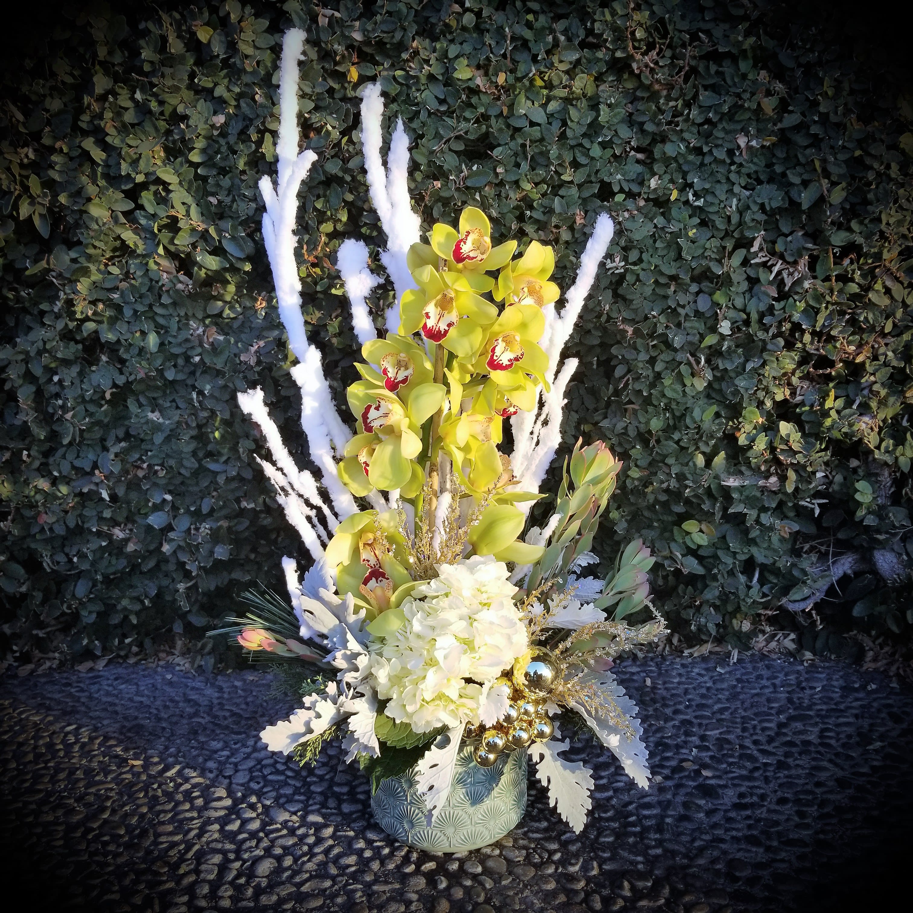Winter Cymbidium Dream - Winter Cymbidium Orchid With Hydrangea designed and white ceramic with glass balls, ornaments  winter greens and flocked birch. Make a statement with this beauty!