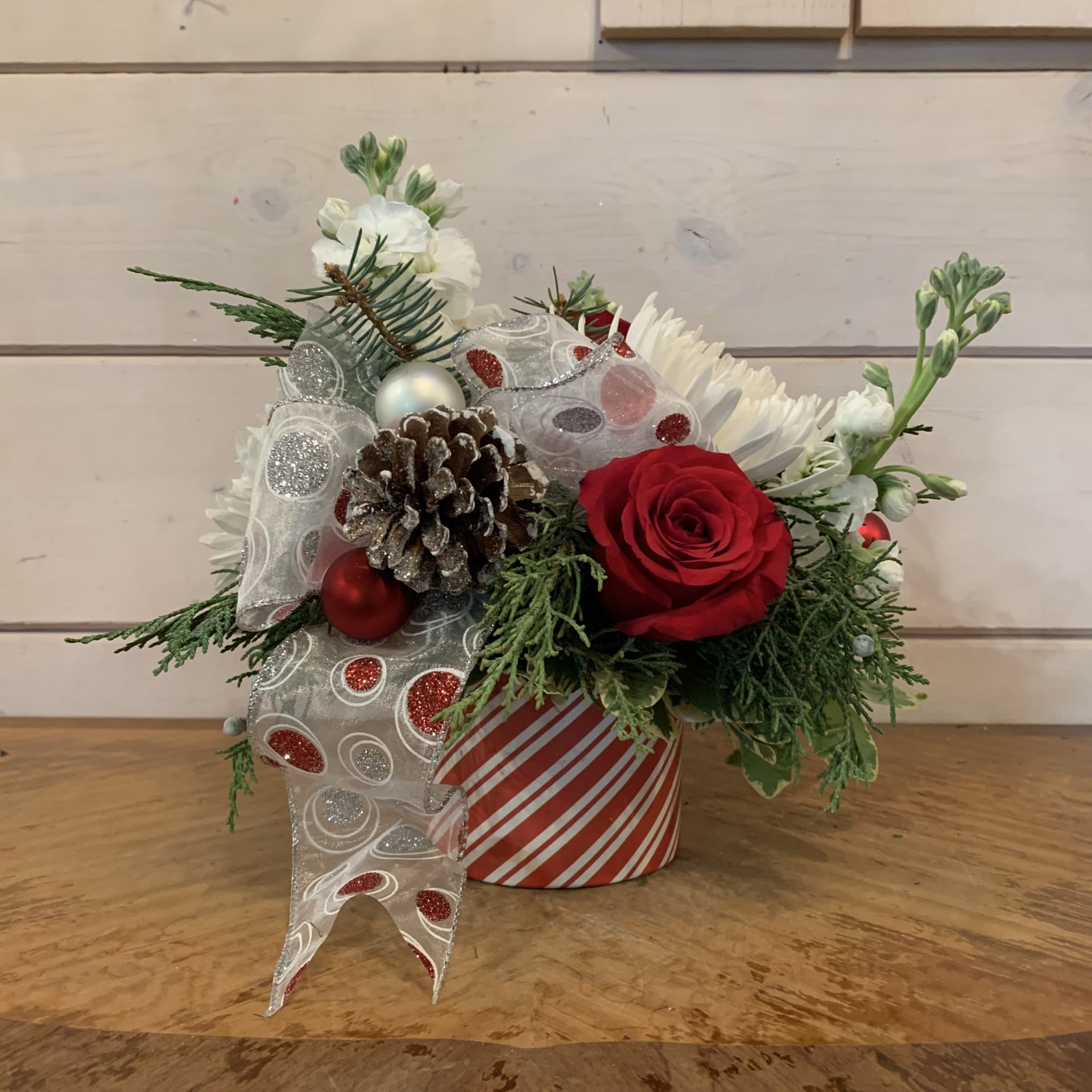 A Little Cheer  - Red roses, white stock, and white chrysanthemums arranged in a small striped pot with a fun red and white sparkly bow, glitter pinecones, and red and white ornament balls. Approximately 8&quot; tall and 9&quot; wide. 