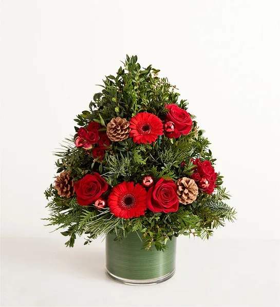 Crimson Christmas Tree - EXCLUSIVE Share the radiant wonder of Christmas. Our elegant evergreen tree arrangement is adorned with a thick garland of crimson red blooms. Ornaments and pinecones add a festive touch. Gathered into a cylinder vase accented with Ti Leaf Ribbon, it’s a stunning way to send season’s greetings, while bringing warmth and beauty to their holiday home or office decor.