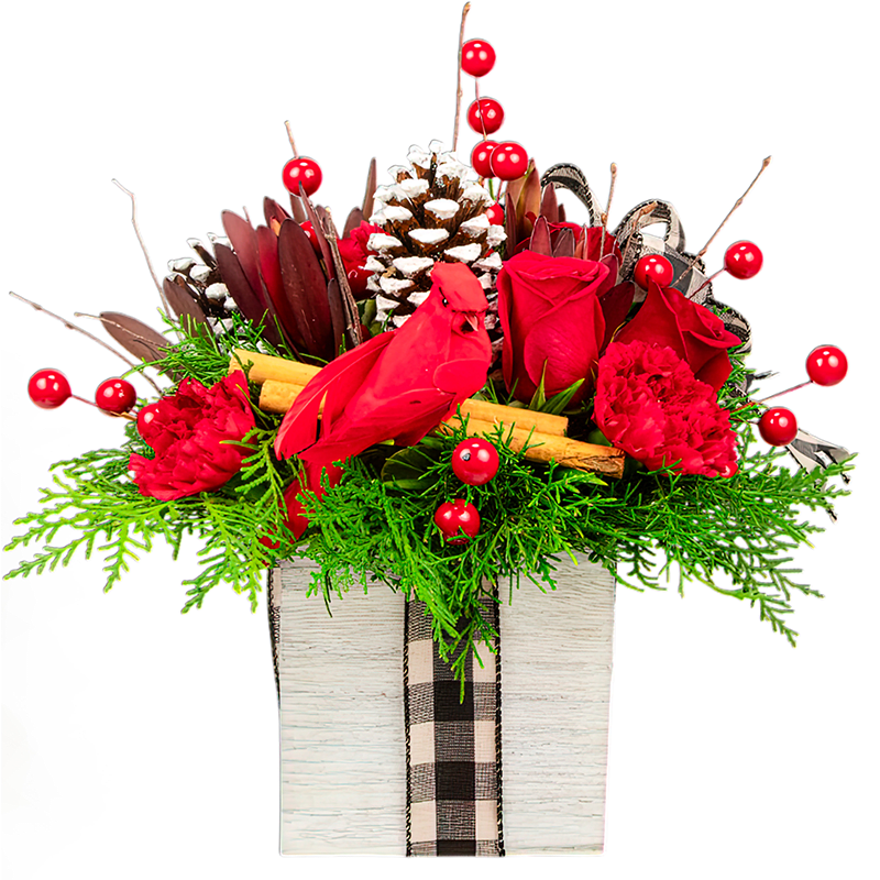 Rustic Winter Thoughts - Beautiful handcrafted arrangement designed with, Red Carnations, Safari Sunsets, Pine Cones, Gold Berries, Burch, Cinnamon Sticks, and Greens.